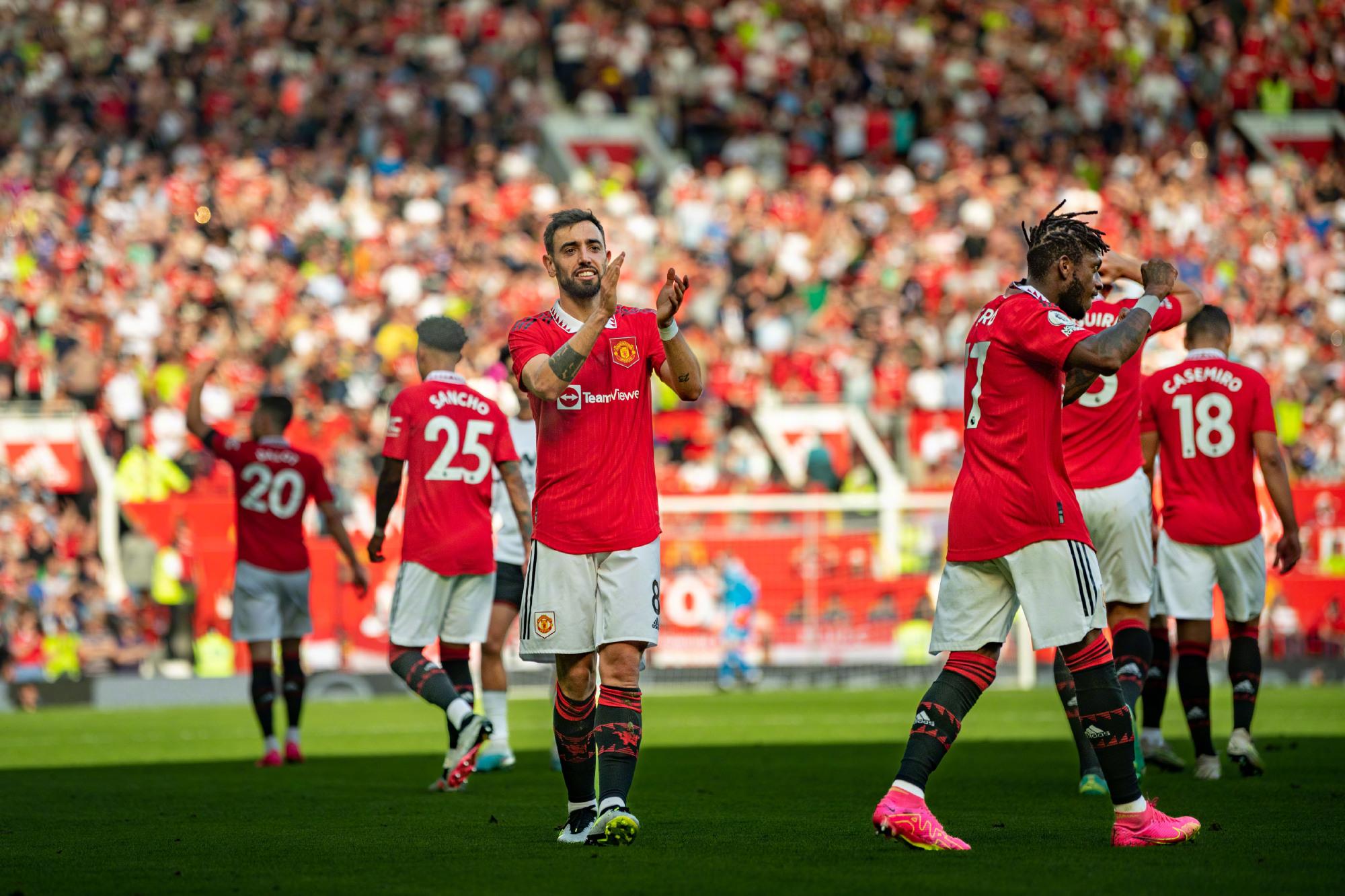 不少专家开 不少专家开